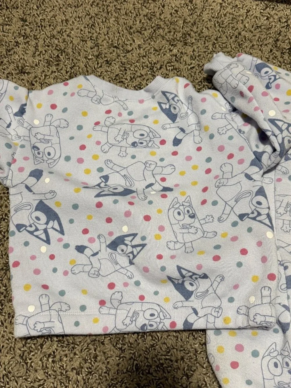 Bluey Purple Sweater and Pants set sz 4T